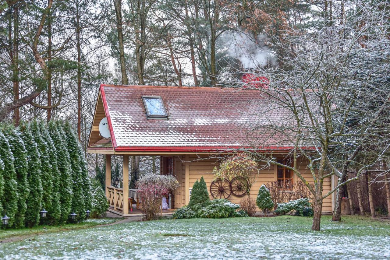 Medaus Pirtele Villa Trakai Eksteriør bilde